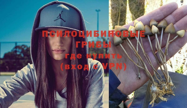 прущая мука Михайловка