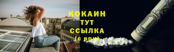 дживик Михайлов