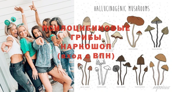 дживик Михайлов