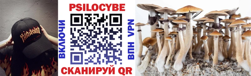 Галлюциногенные грибы Cubensis Купить где Красновишерск